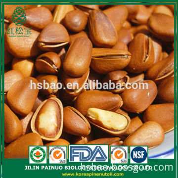 Wholesale New Arrival Organic Siberian Open Pine Nuts for Sale